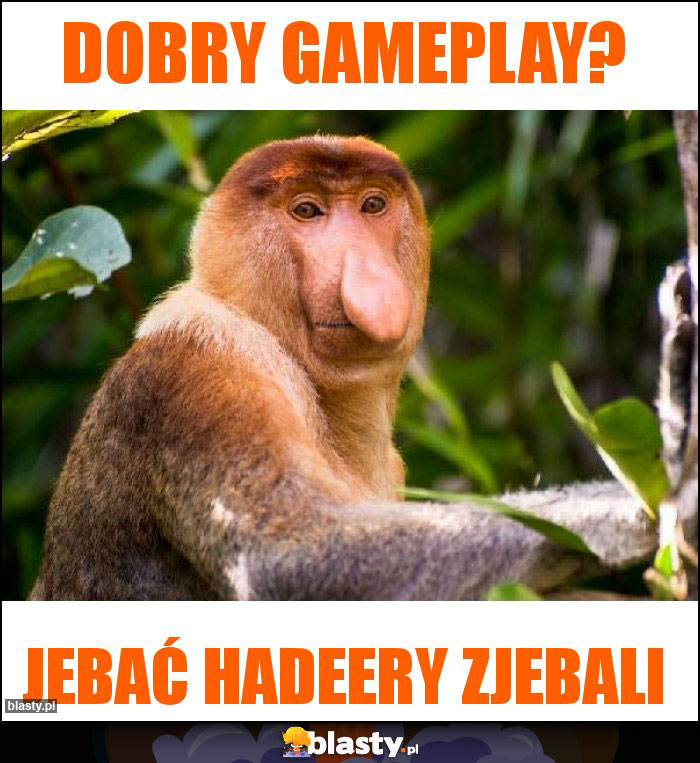 Dobry gameplay?