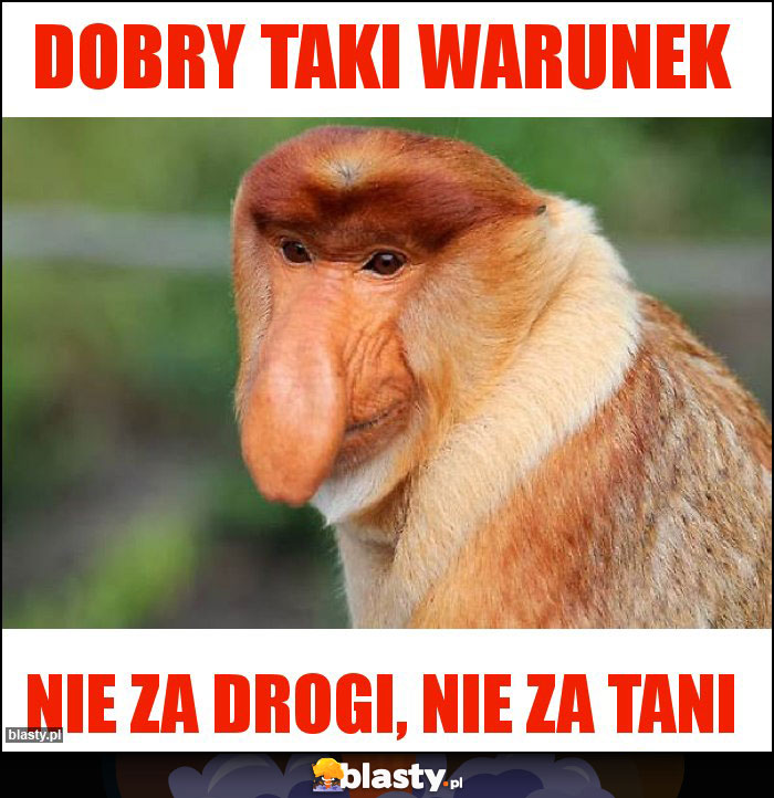 DOBRY TAKI WARUNEK