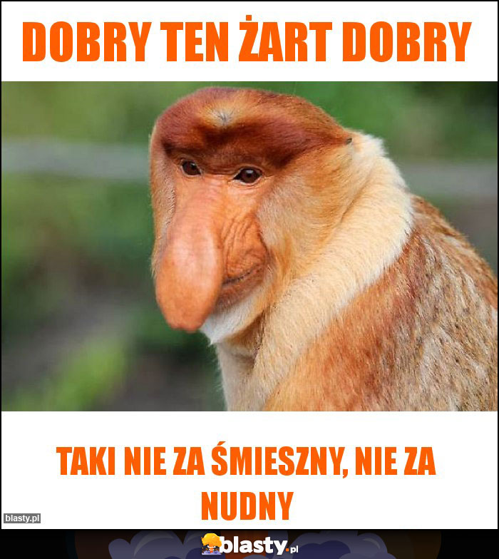 Dobry ten żart dobry