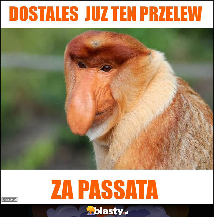 dostales  juz ten przelew