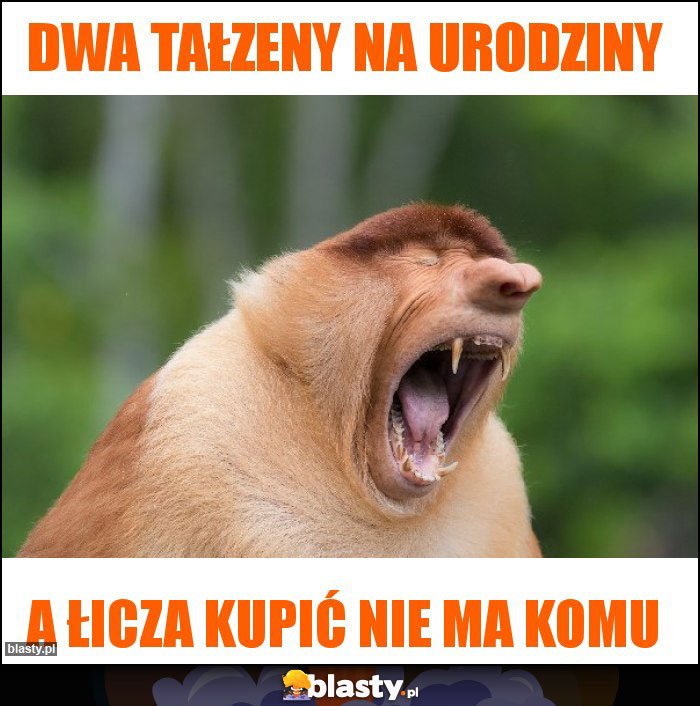 DWA TAŁZENY NA URODZINY