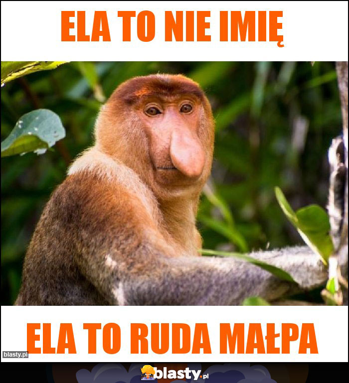 ELA TO NIE IMIĘ