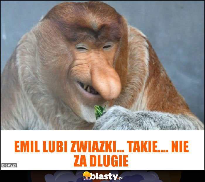 Emil lubi zwiazki... Takie.... Nie za dlugie