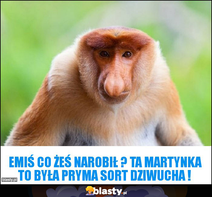 Emiś co żeś narobił ? TA MARTYNKA TO BYŁA PRYMA SORT DZIWUCHA !