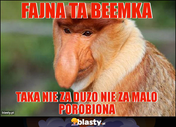 fajna ta beemka