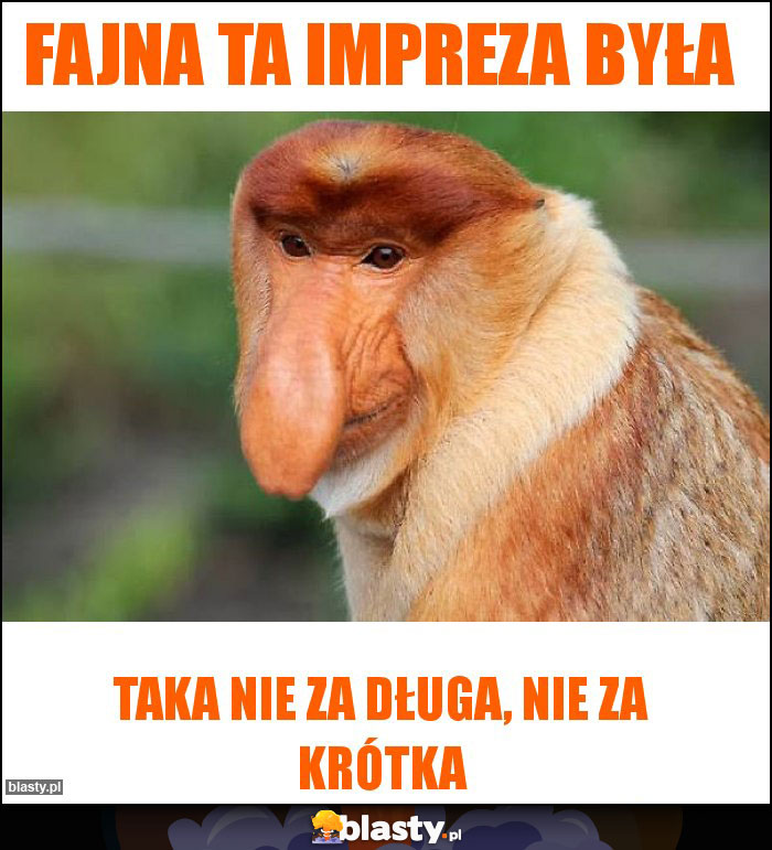 Fajna ta impreza była