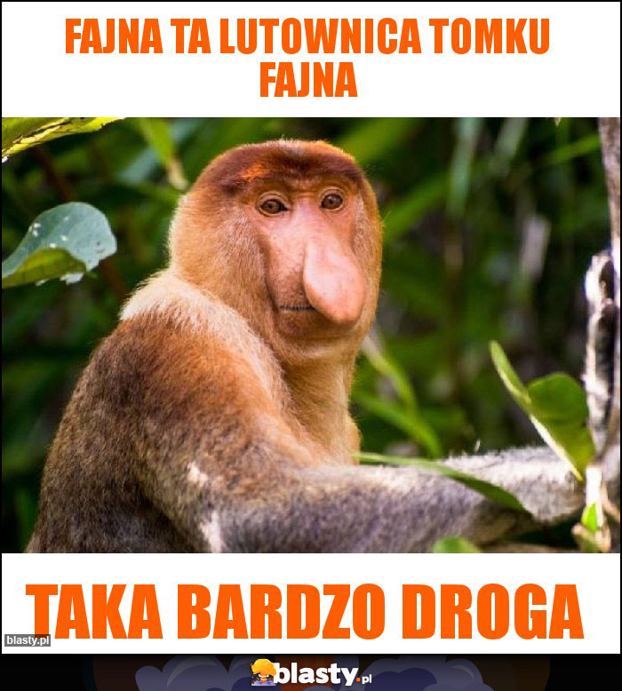 Fajna Ta lutownica Tomku Fajna