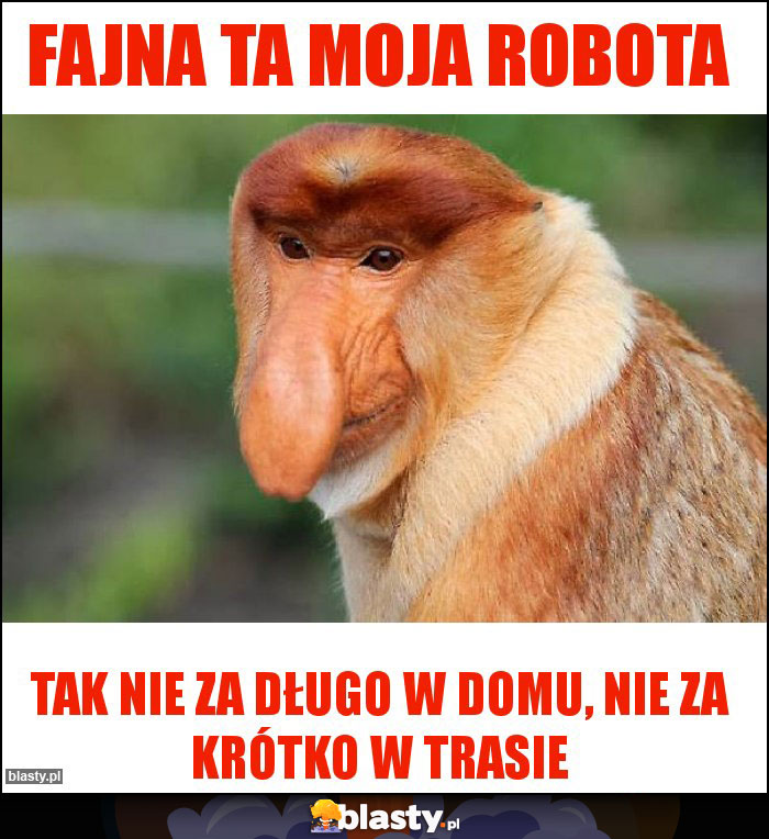 Fajna Ta Moja Robota