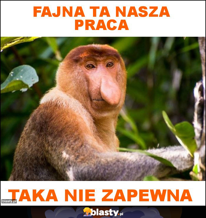 Fajna ta nasza Praca