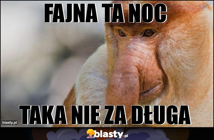 FajnA TA NOC