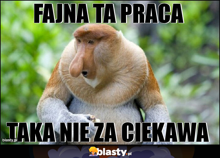 Fajna ta praca