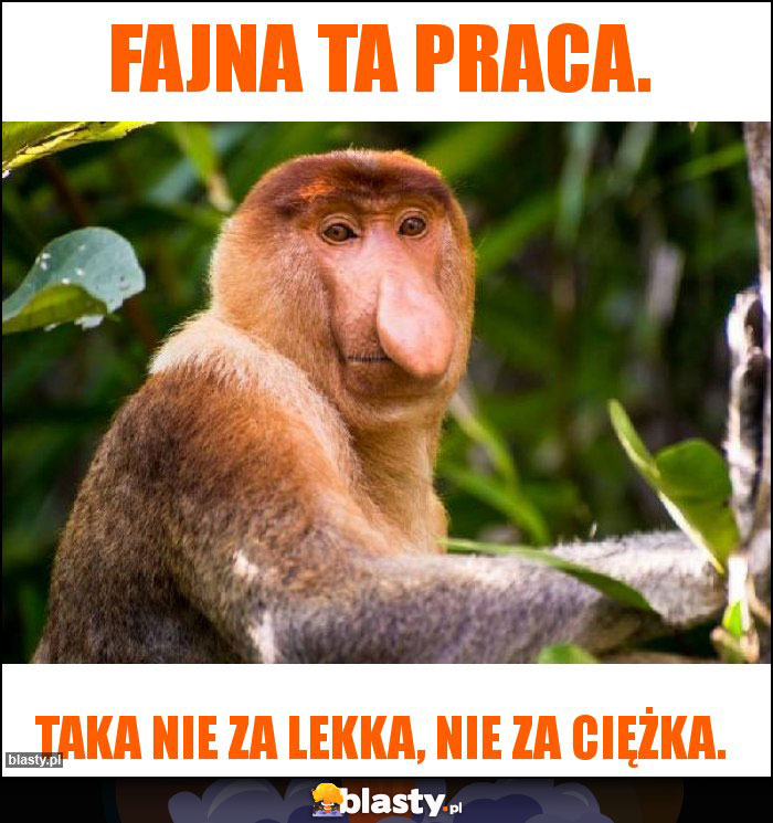 FAJNA TA PRACA.