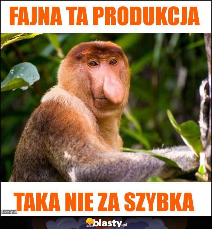 Fajna ta produkcja