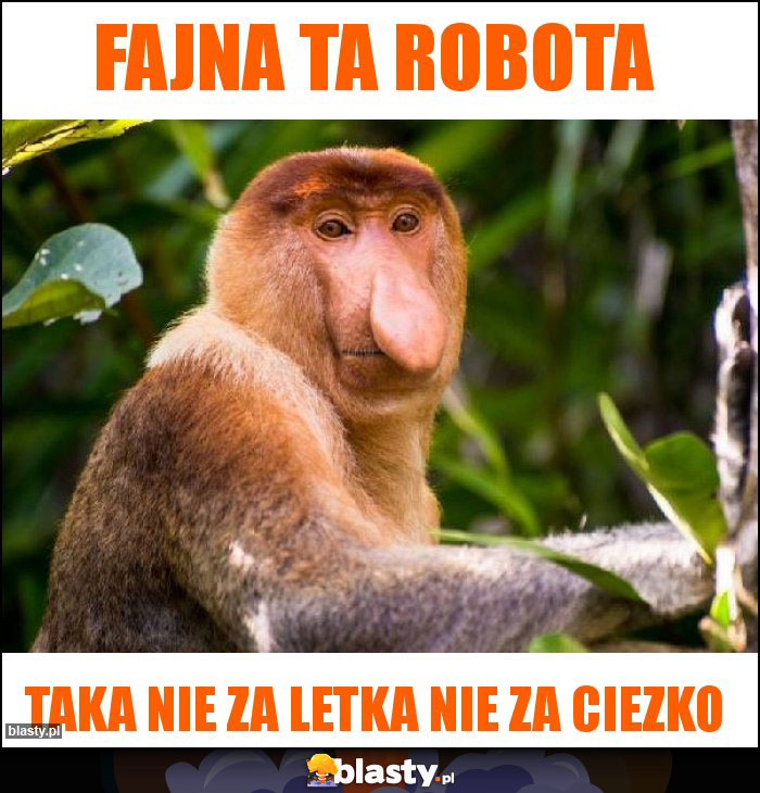 Fajna ta robota