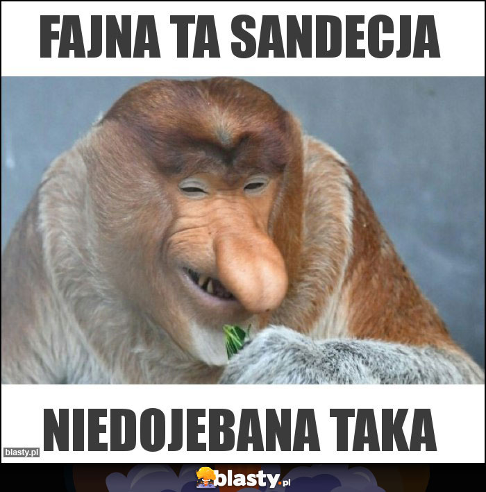 Fajna ta Sandecja