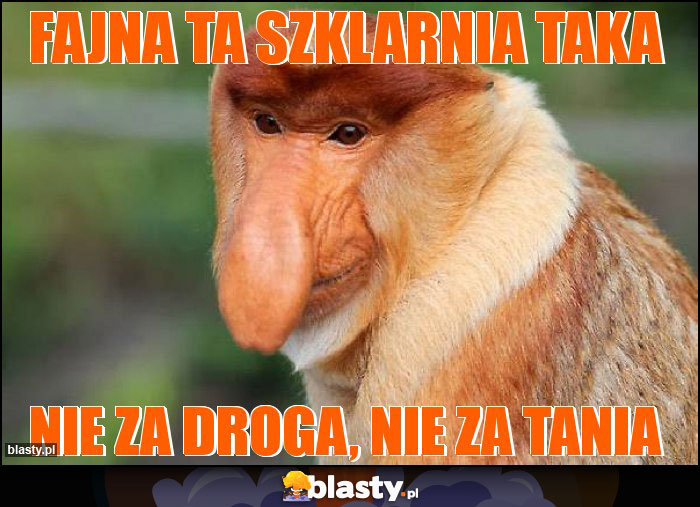 fajna ta szklarnia taka