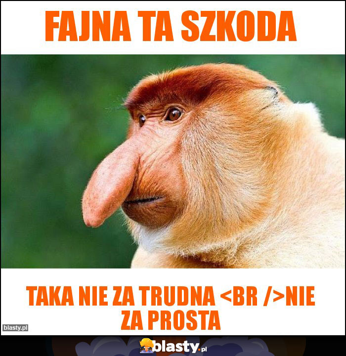 Fajna ta szkoda