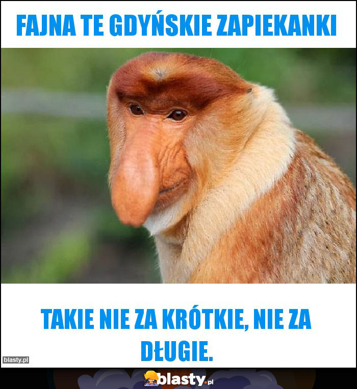 Fajna te Gdyńskie Zapiekanki