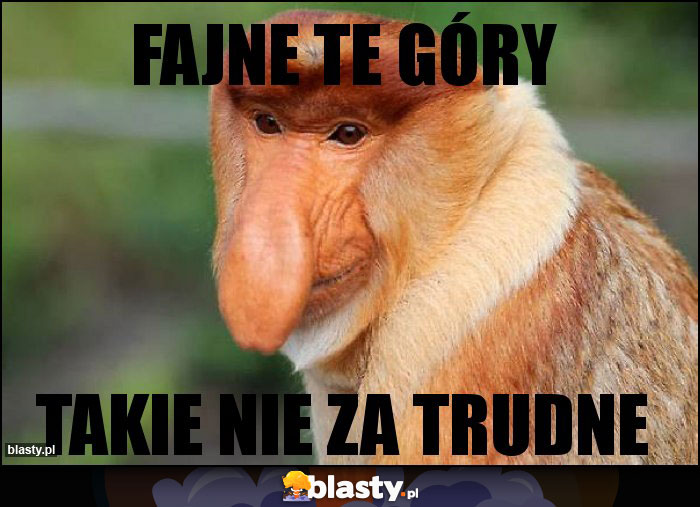 Fajne te góry