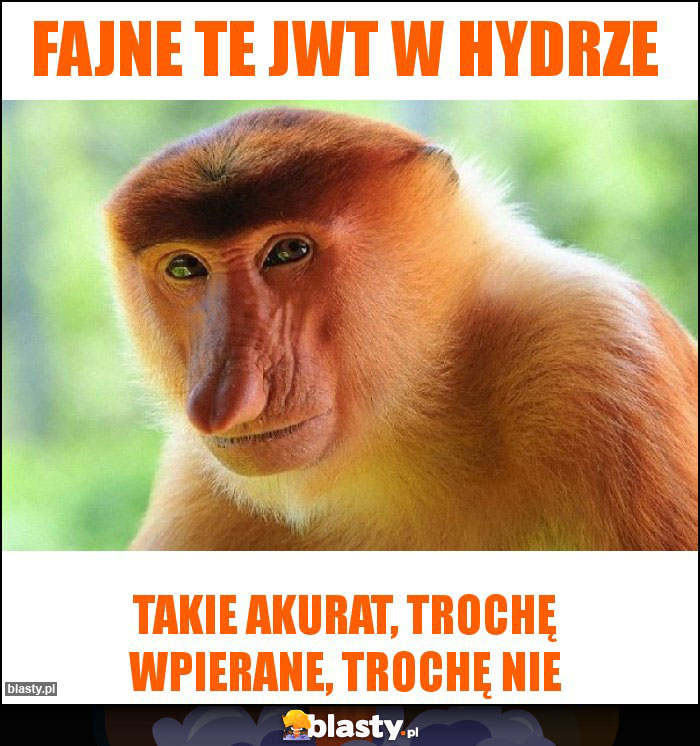 Fajne te JWT w Hydrze