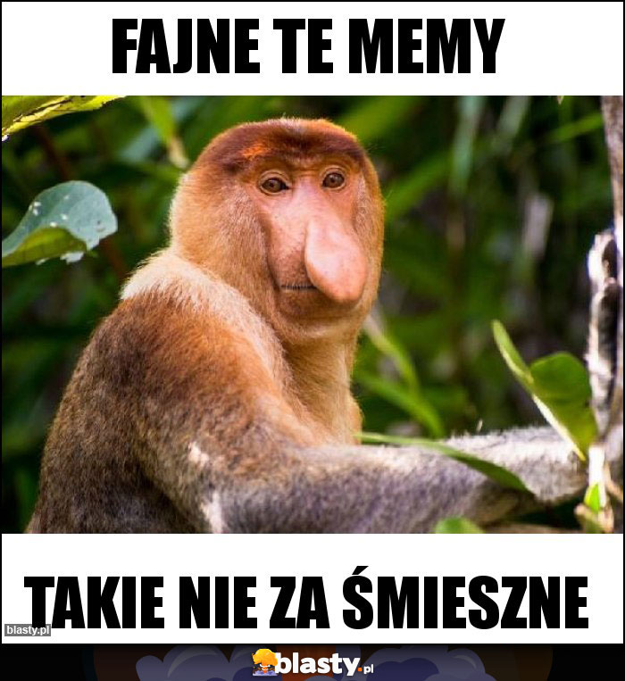 FAJNE TE MEMY