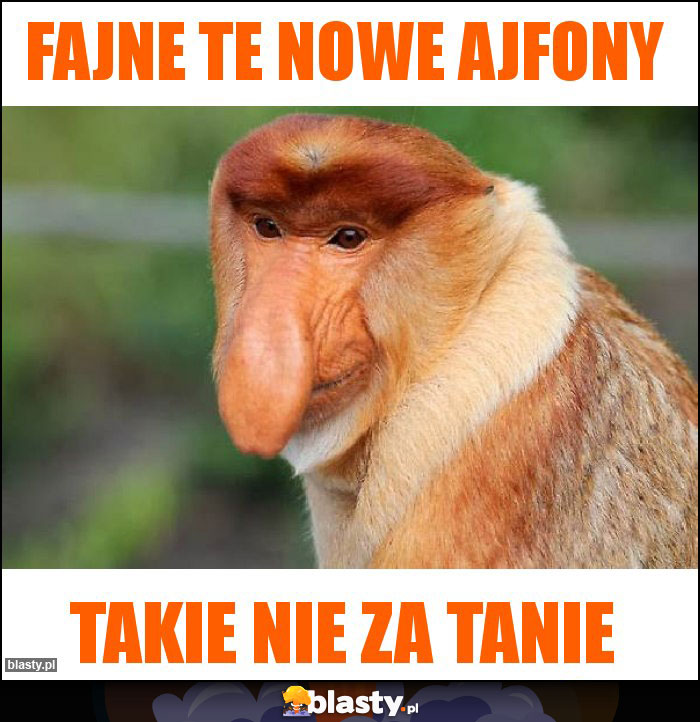 Fajne te nowe ajfony