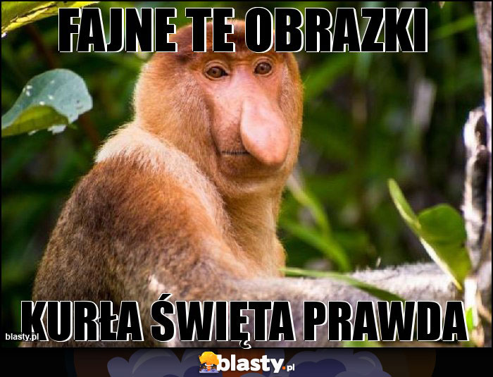 fajne te obrazki