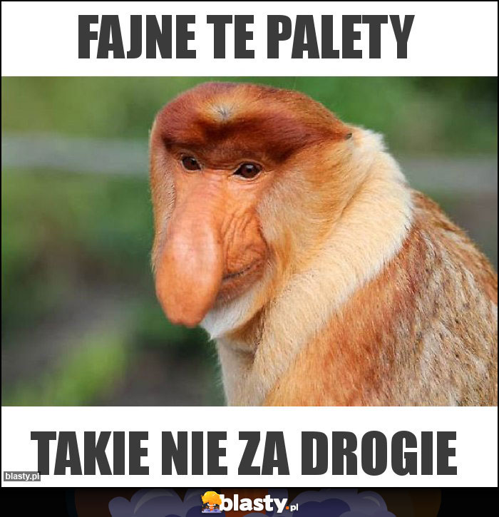 Fajne te palety