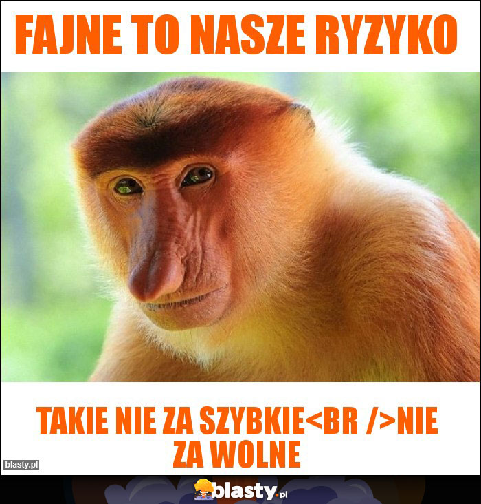 Fajne to nasze ryzyko