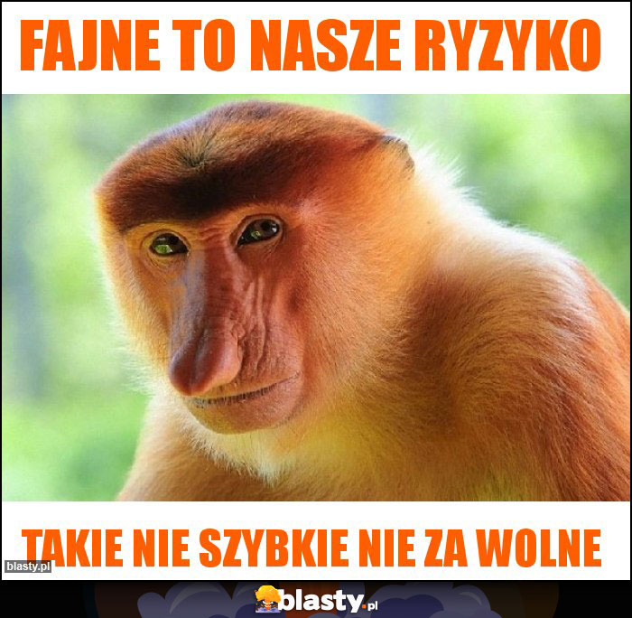 Fajne to nasze ryzyko