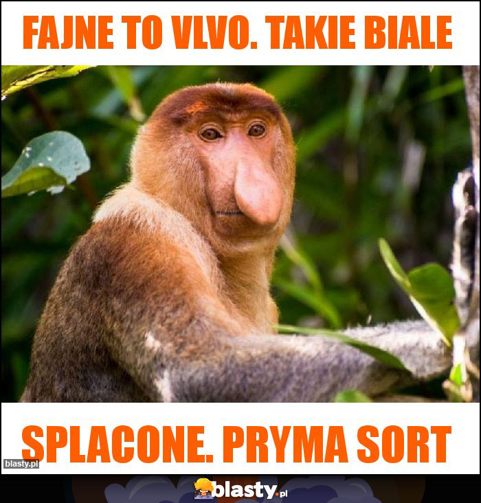 Fajne to vlvo. Takie biale