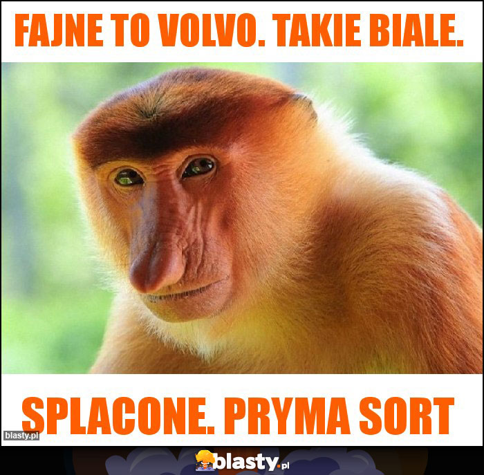 Fajne to volvo. Takie biale.