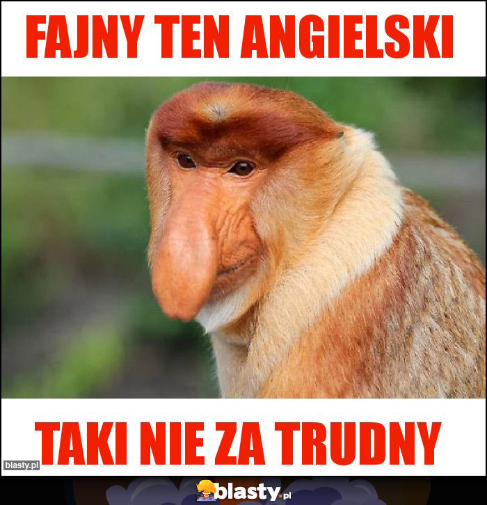 fajny ten angielski