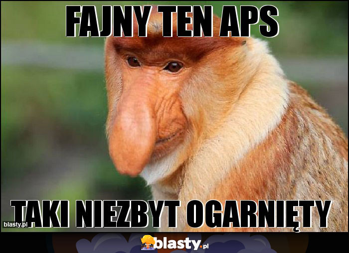 Fajny ten aps