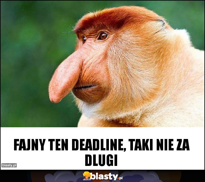 Fajny ten deadline, Taki nie za dlugi