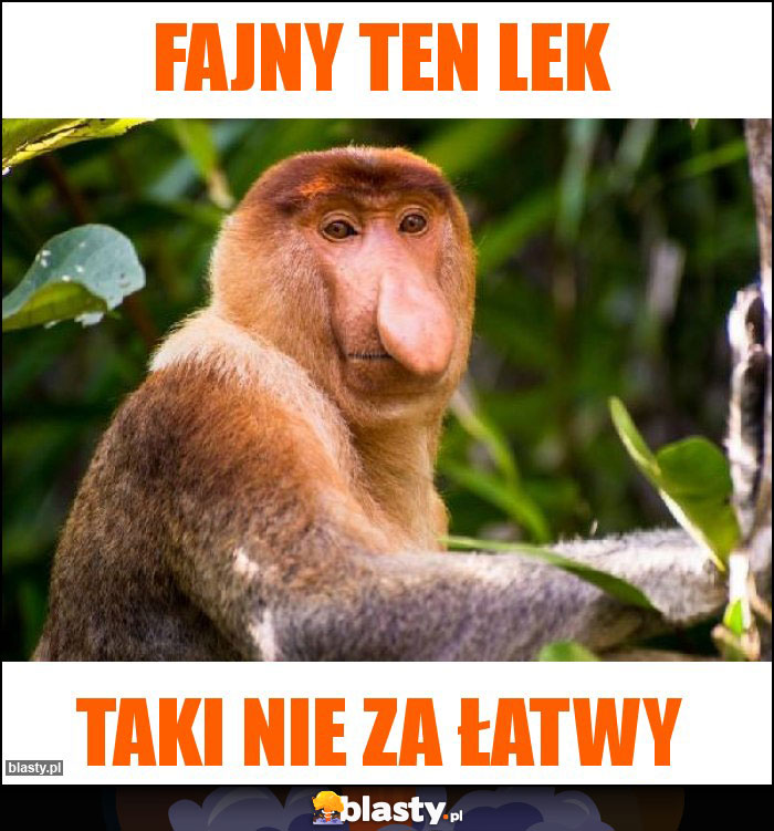 Fajny ten LEK