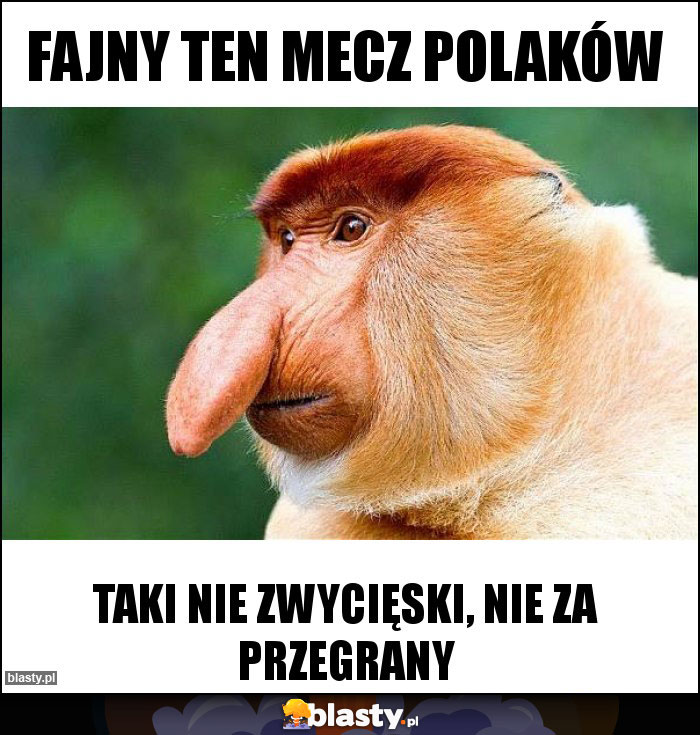 Fajny ten mecz polaków