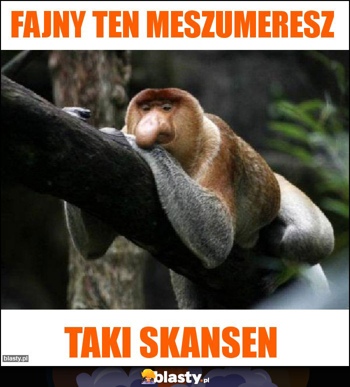 Fajny ten meszumeresz