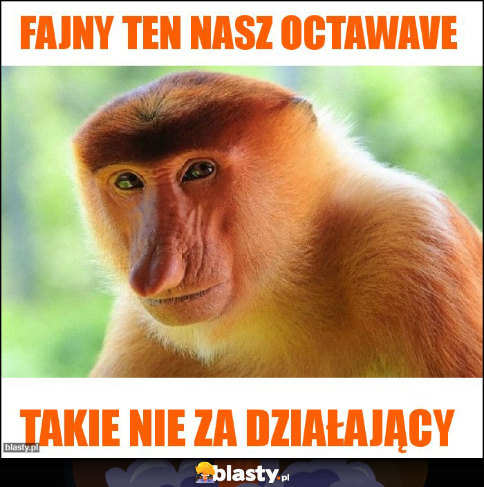 Fajny ten nasz octawave