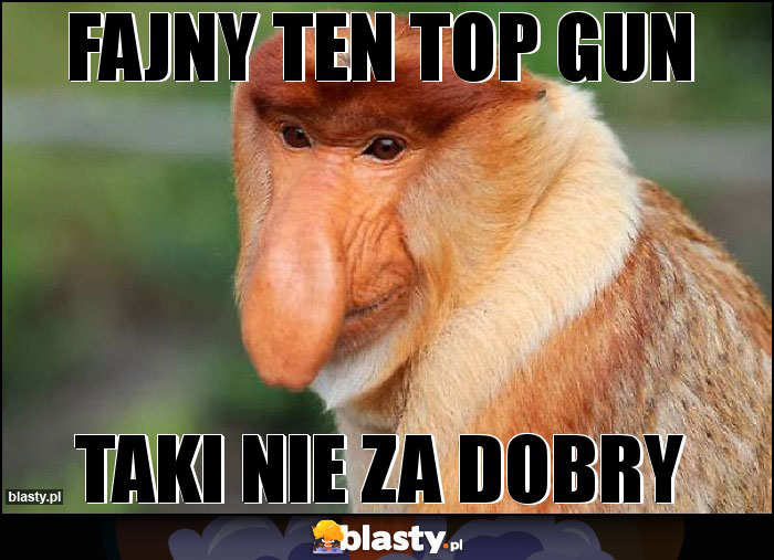 Fajny ten top gun