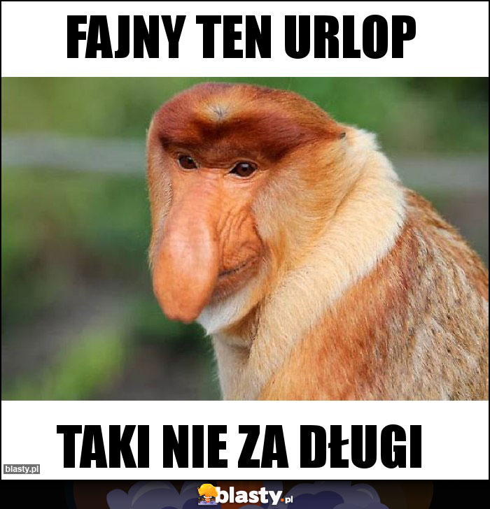 FAJNY TEN URLOP