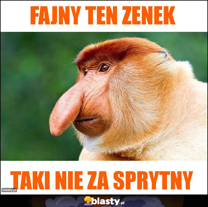 Fajny ten Zenek