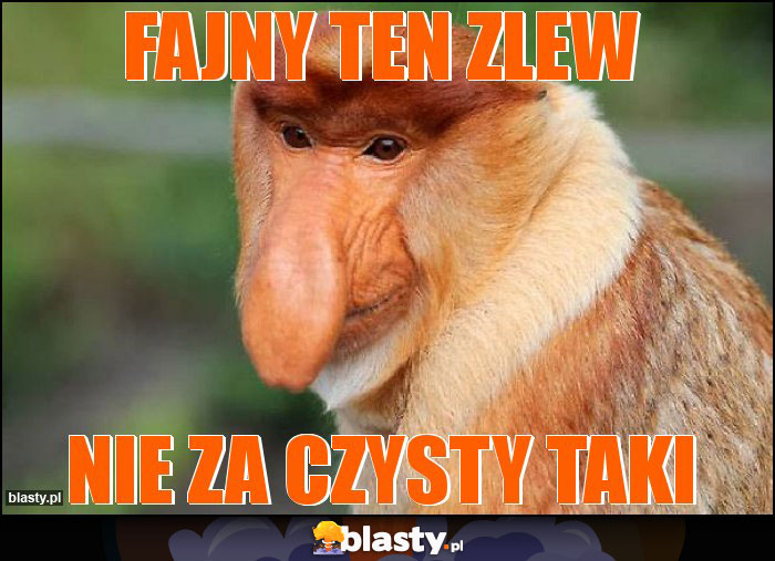 Fajny ten zlew