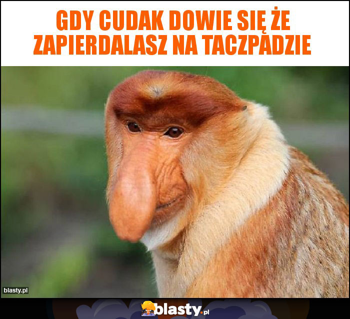 Gdy cudak dowie się że zapierdalasz na taczpadzie