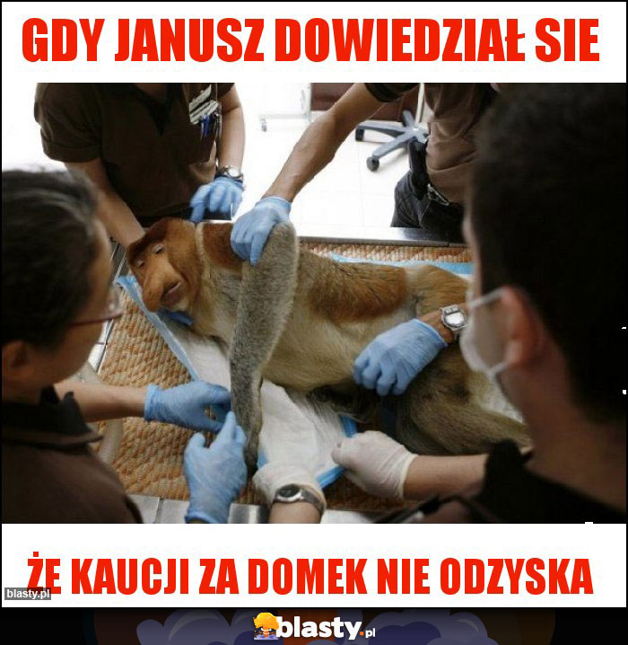 Gdy Janusz dowiedział sie