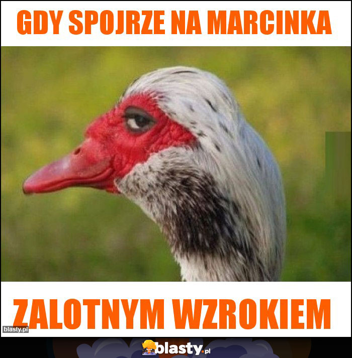 Gdy spojrze na marcinka