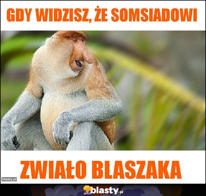 gdy widzisz, że somsiadowi