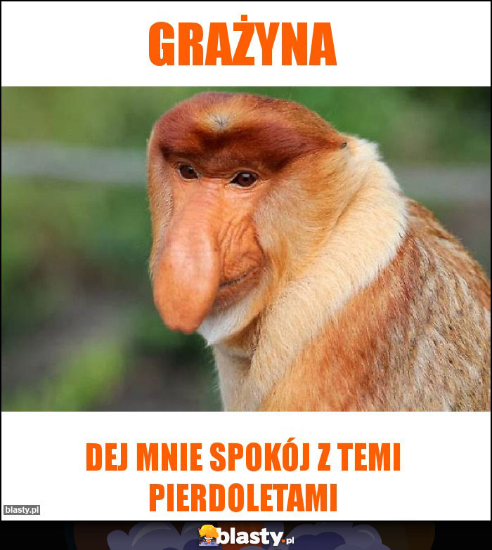 Grażyna