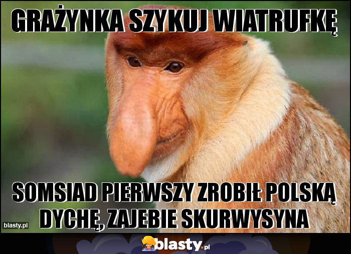 Grażynka szykuj wiatrufkę