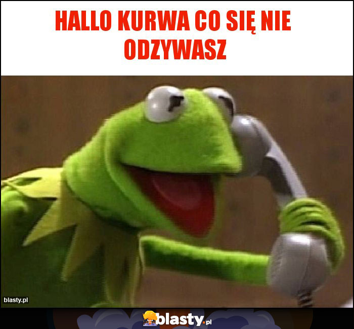 Hallo kurwa co się nie  odzywasz